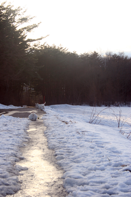 c0089005_13401112.jpg