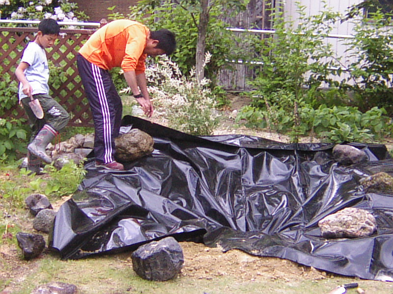 e0175905_19572954.jpg