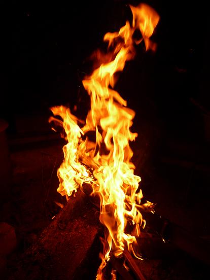 f0155808_110841.jpg