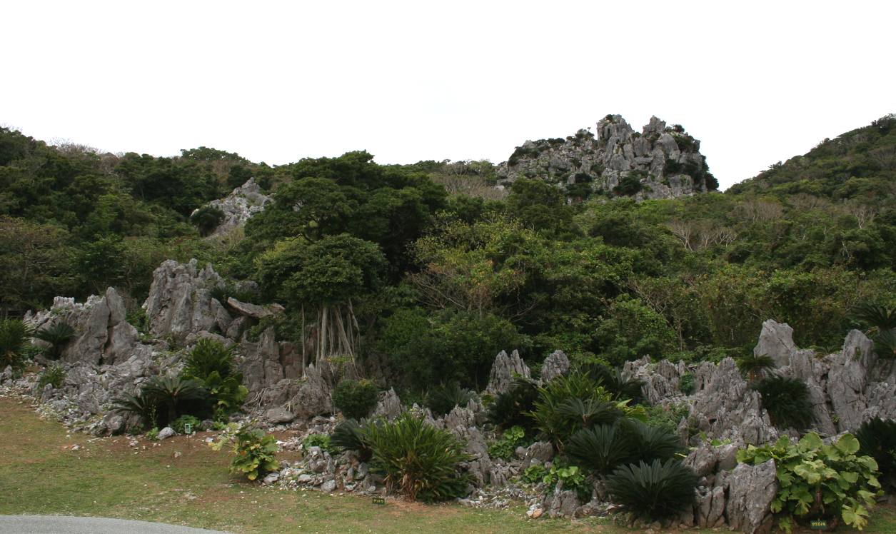 e0003910_20133935.jpg