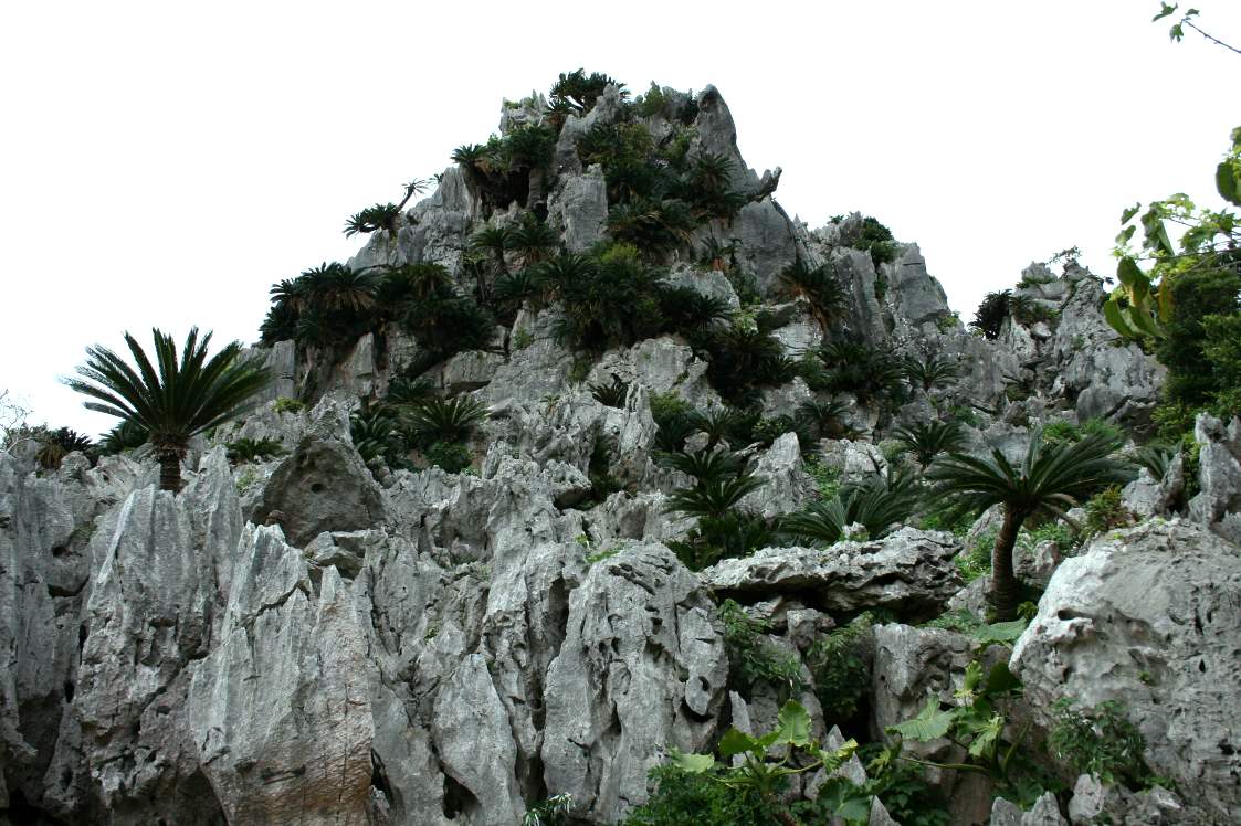 e0003910_21383811.jpg