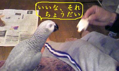 c0133013_14145987.jpg