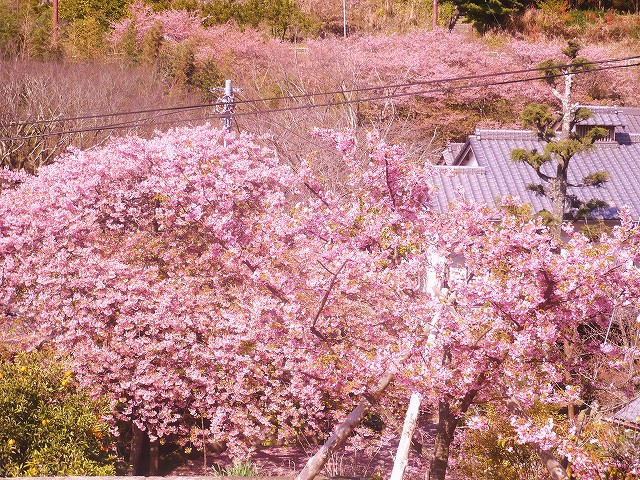 f0182513_22483338.jpg