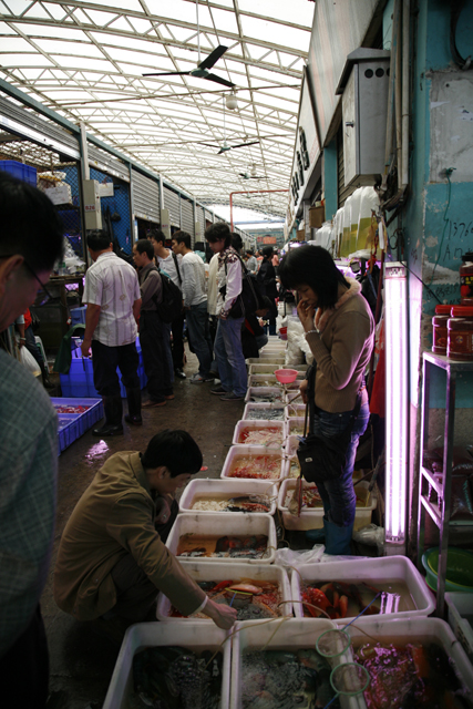 f0118214_11455631.jpg