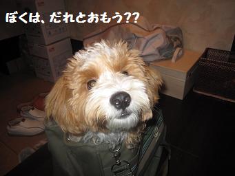3月6日 アースの兄弟_e0136815_22274895.jpg