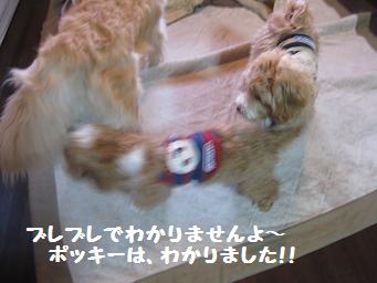 3月6日 アースの兄弟_e0136815_22305188.jpg