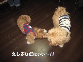 3月6日 アースの兄弟_e0136815_22314259.jpg