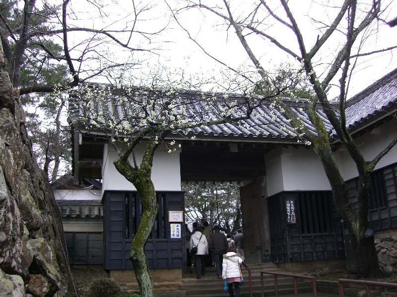 d0023818_9513628.jpg