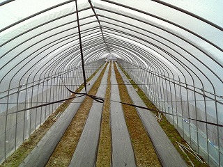 f0032130_18183953.jpg