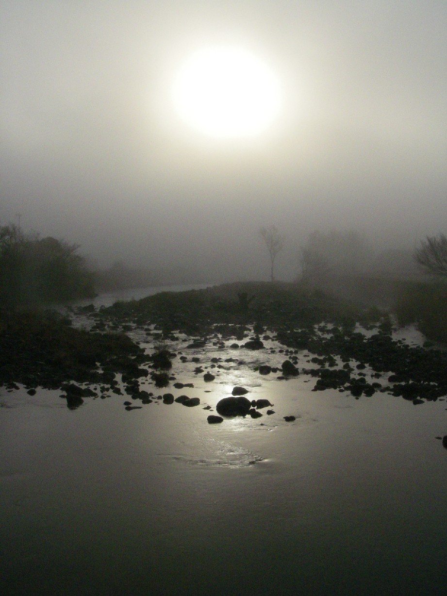 f0122232_18384145.jpg