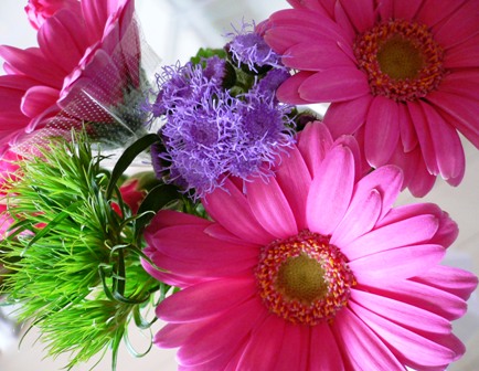 c0192343_8451961.jpg