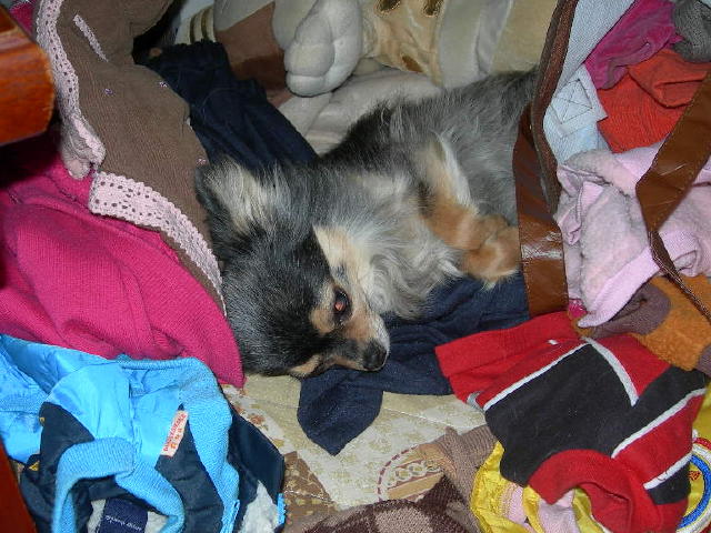 c0102545_1583950.jpg
