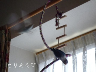 締め切り締め切り_e0147757_22104434.jpg