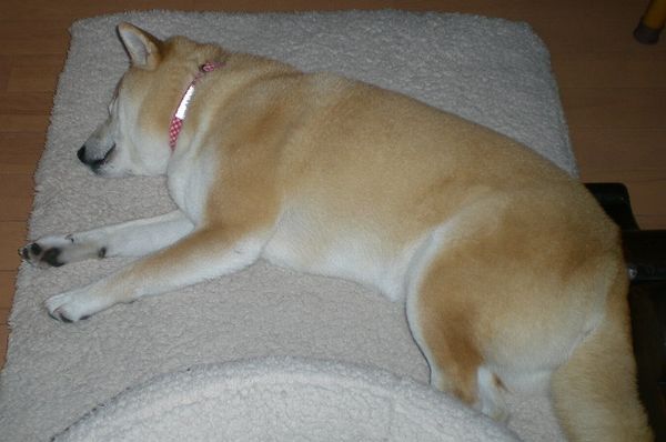 2009年3月6日(金)雨の日は・・・・・?_f0060461_20284146.jpg
