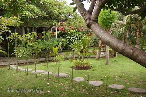 d0056263_22551821.jpg
