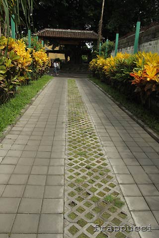 d0056263_22591919.jpg