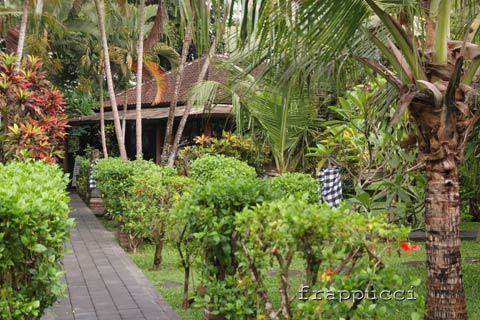 d0056263_2355988.jpg