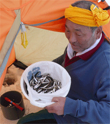 f0163063_1724554.gif