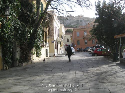 f0037264_822402.jpg