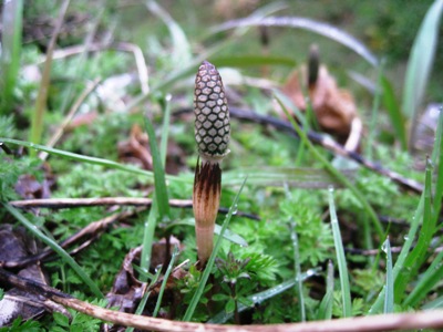c0179193_22472382.jpg