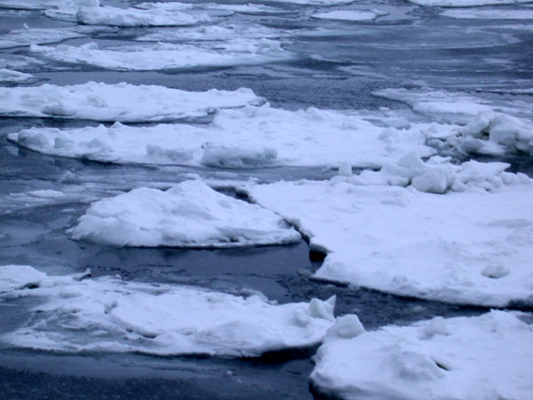 流氷観光砕氷船「おーろら」に乗って_f0173195_1942343.jpg