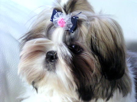 c0090198_11129.jpg