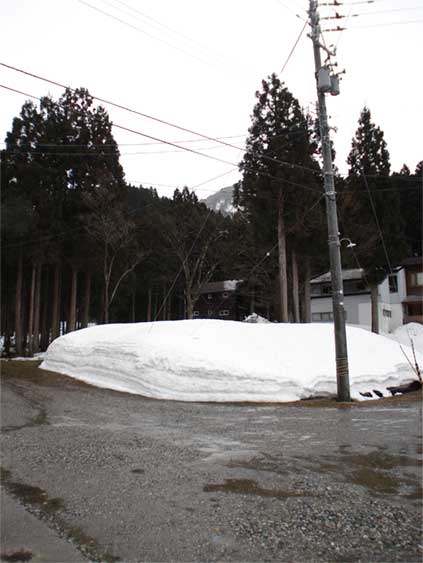 a0061599_7561297.jpg