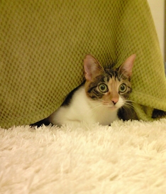 c0181601_049022.jpg