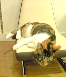 c0181601_050760.jpg