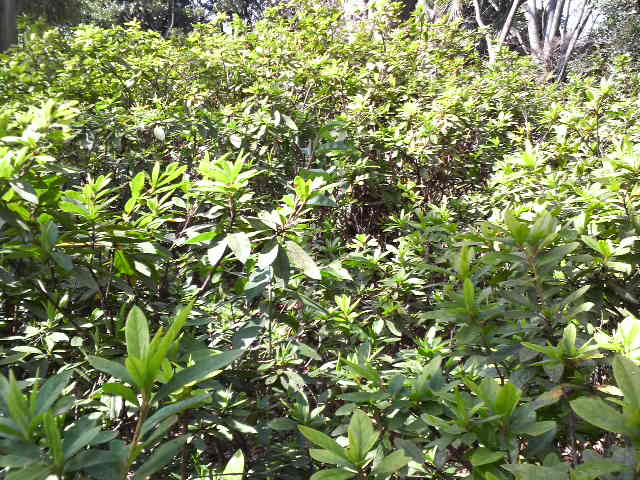 a0000002_1136381.jpg