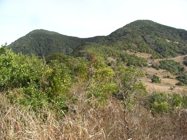 f0187402_22503275.jpg