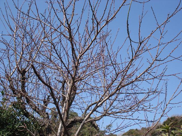 f0084806_857163.jpg