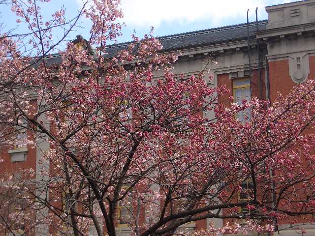 c0152507_11474518.jpg