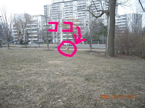 c0192813_11492859.jpg