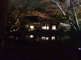 高台寺　夜咄の茶会_d0087913_539150.jpg