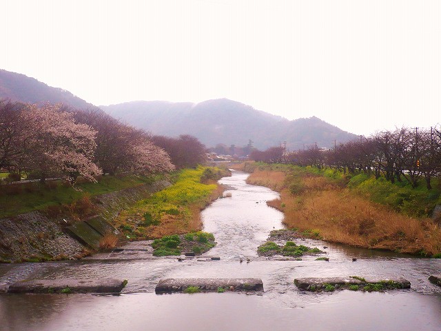 f0182513_2242259.jpg
