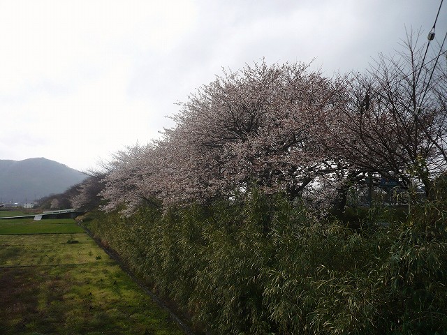 f0182513_22425879.jpg