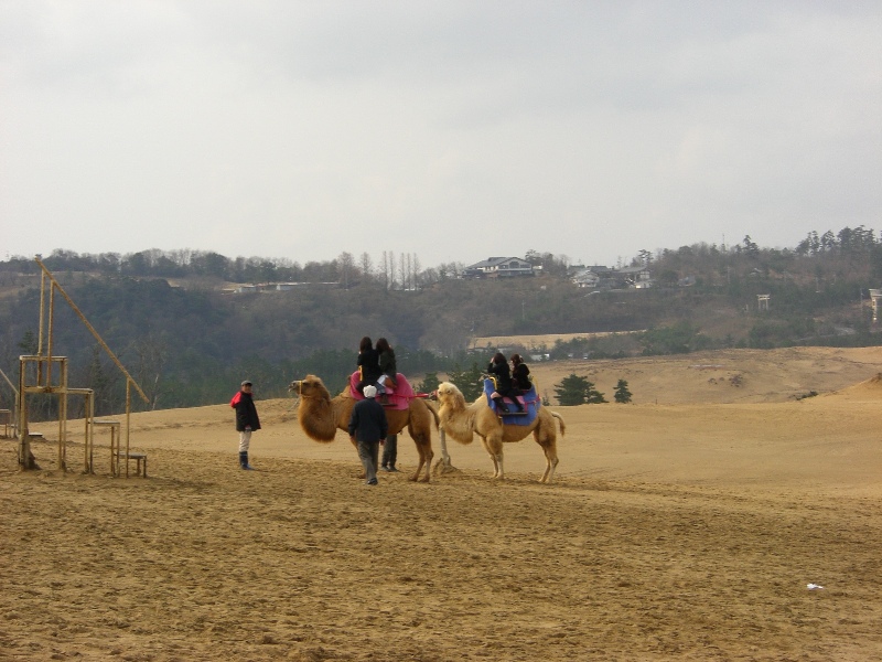 d0023818_17114487.jpg