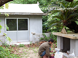 c0174019_17512364.jpg