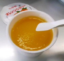 冷凍みかんゼリー Go For It 冷凍みかんゼリー Go For It