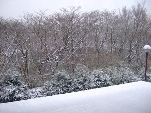 f0060428_19563450.jpg