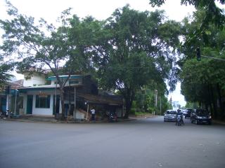 a0024829_11184496.jpg