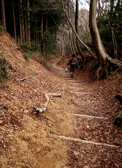 ２００９年★トレッキング初め♪_f0070233_1521464.jpg