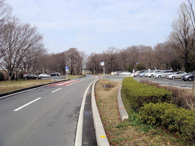 b0136045_11443187.jpg