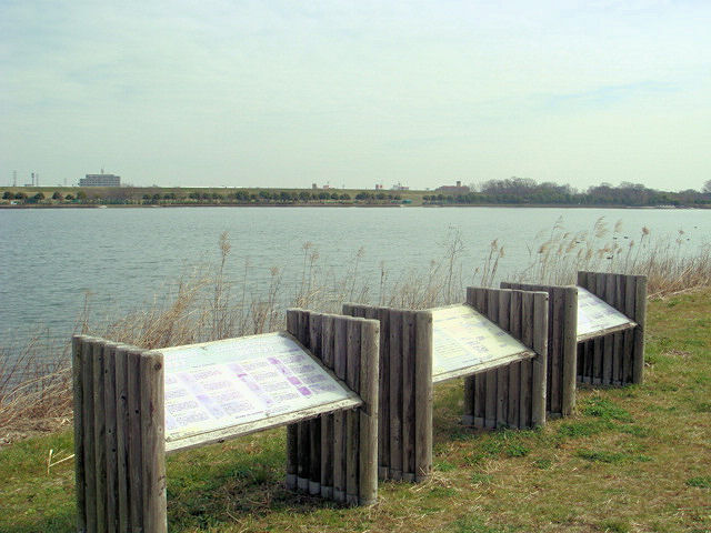 b0136045_13224035.jpg