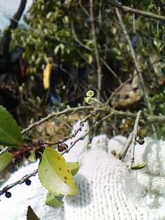 c0100148_11243170.jpg