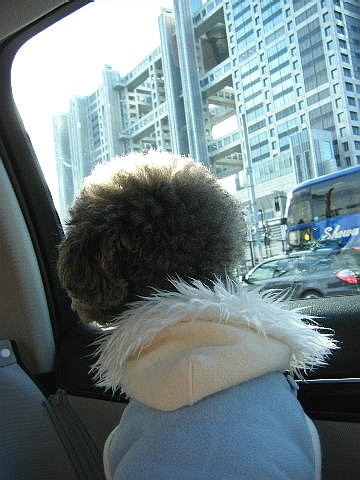 e0129656_2237990.jpg