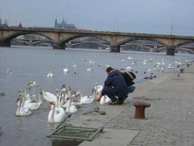 b0111857_30520.jpg