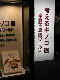 考えるキノコ展_a0066059_17183215.jpg