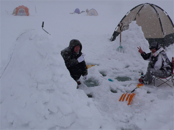 f0163063_15345675.gif